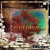 Autumn - Tree - Rainbow Background Autumn - Tree - Rainbow Background
