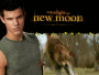 New_Moon