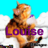 Louise - Cat