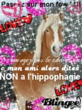 non a l'hippophagie