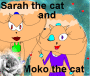 Moko et Sarah the cats ♥♥