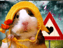Hammy Loves You
