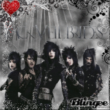 Black veil brides