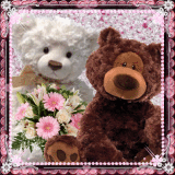 hunny n bunny bear