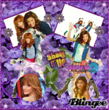 ****Shake it Up****