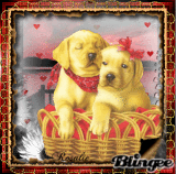 imagespassions ♥ imagespassions ♥