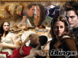 Twilight saga...
