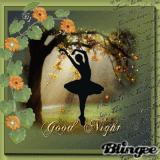 good night