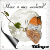 Have a nice weekend!!!