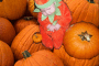 lil' pumkin