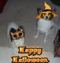 happy halloween