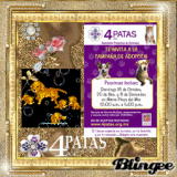 4 patas
