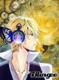 butterfly magnet