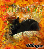 Black Cat in Autumn