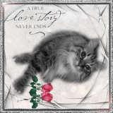 A True Love Story Never Ends ~stina.scott