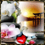 zen sunset