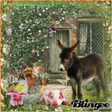 *IMAGESPASSIONS *Dans nos campagnes no 1* *IMAGESPASSIONS *Dans nos campagnes no 1*