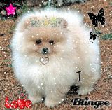 Ahhh Cute