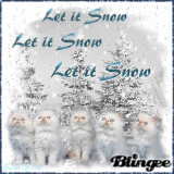 Let it Snow Kittens!