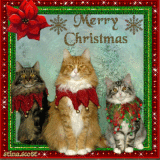 Merry Christmas `stina.scott