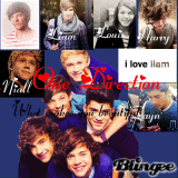 One Direction