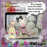 JOYEUX ANNIV SYLVIE