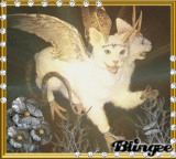 To my dear friend Sarayminerva.