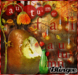 autumn fall ◕ ‿ ◕