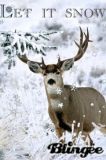 Deer in Snow