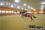 Arena Jumping
