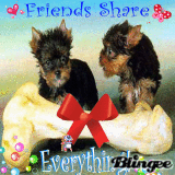Besties 4 Life