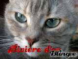 la guerre des clans