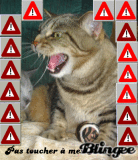 Il est interdit de me piquer mes images