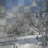  cemeteri winter crossgrave tranda