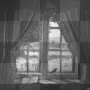 soave background black white window curtain