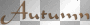 SOAVE TEXT AUTUMN ORANGE
