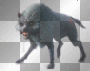 wolf fantasy