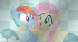 RD & Fluttershy