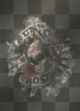 Guns N' Roses