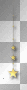 Gold stars 