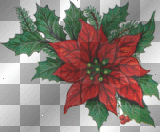 Christmas.