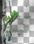 Dragons 