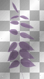 purple leafs shell moppy5555