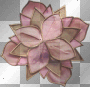 Pink, vintage, deco, flower