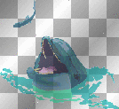 dolphin dauphin animal animaux mer