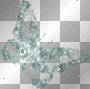 butterfly farfalla