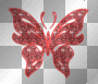 butterfly farfalla