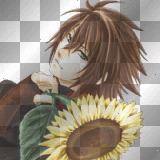 boy sunflower