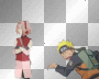 narusaku