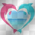 dolphin heart....